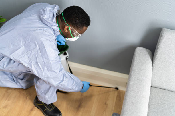 Best Fumigation Services  in Jean Fitte, LA